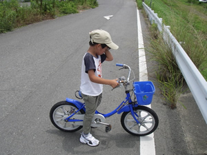 �����Ă��܂�