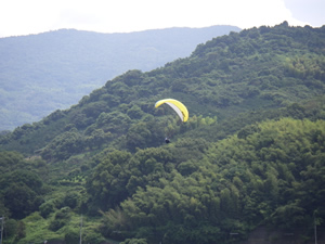 �p���O���C�_�[