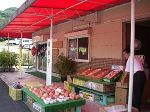 �Ȃ��܂�����