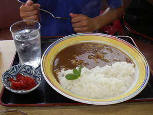 �J���[���C�X