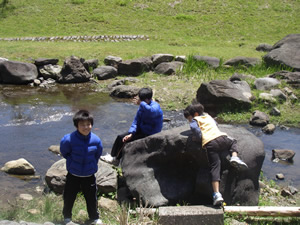 �������