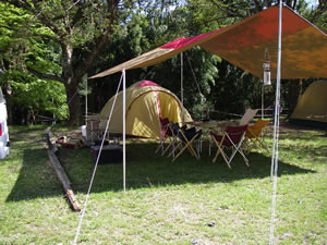 �e���g�݉c