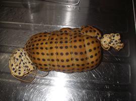 �n���@������