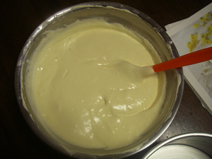 �V�t�H�����n����