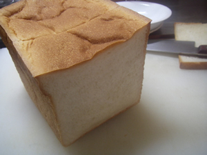 �H�p���f��