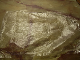 �E���V�[�g